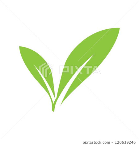 leaf logo leaf logo 120639246