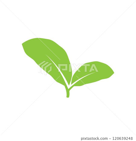leaf logo leaf logo 120639248