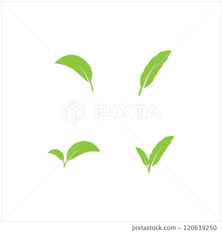 leaf logo leaf logo 120639250