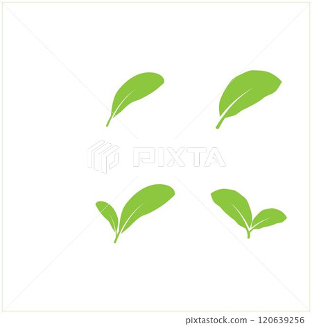 leaf logo 120639256