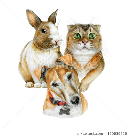 Cute pets group realistic illustration. Funny cat, dog, bunny vintage style illustration on white background. Perfect for pet products, veterinary clinics, animal healthcare branding designs 120639326