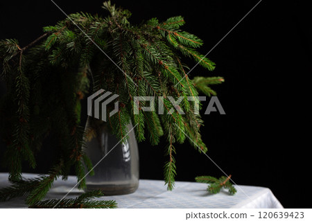 A transparent vase with green fluffy branches of a Christmas tree stands on the table 120639423