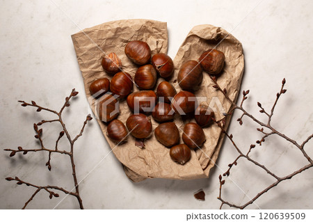 Fresh harvest of edible chestnuts scattered on a on kraft paper with tree branches Fresh harvest of edible chestnuts scattered on a on kraft paper with tree branches 120639509