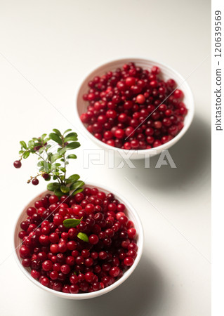 Two bowls with lingonberries and a green branch on a white background 120639569