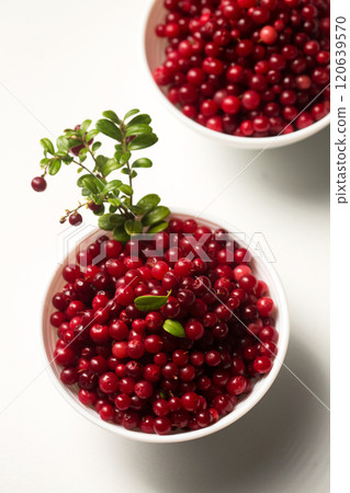 Two bowls with lingonberries and branch on a white background. Top view Two bowls with lingonberries and branch on a white background. Top view 120639570