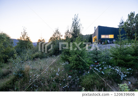 Cozy Cabin at Dusk 120639606