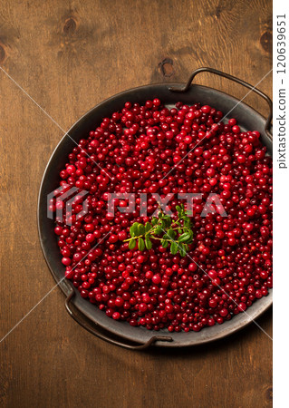A metal tray full of lingonberries with a green twig on a wooden background 120639651