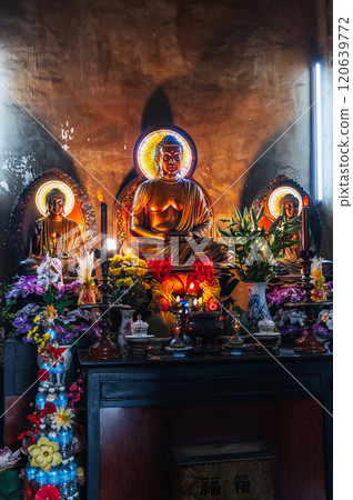 Buddha statues inside the temple at Long Son Buddhist Pagoda in Nha Trang in Vietnam Buddha statues inside the temple at Long Son Buddhist Pagoda in Nha Trang in Vietnam 120639772