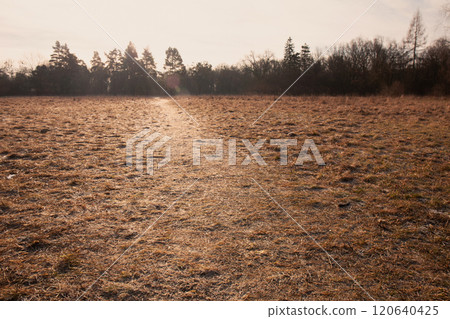 A field of grass with a path in the middle A field of grass with a path in the middle 120640425