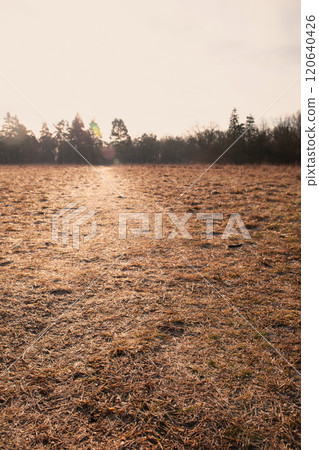 A field of grass with a path A field of grass with a path 120640426