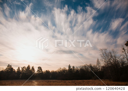 A field with trees and a cloudy sky. Winter dawn A field with trees and a cloudy sky. Winter dawn 120640428
