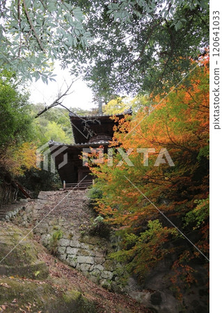 四國聖地第71號彌彌寺 120641033