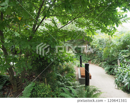 Crossrail Place roof garden in London 120641381