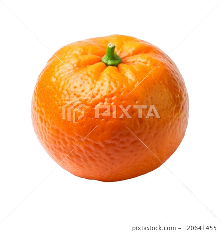 Beautiful and nature mandarin  120641455