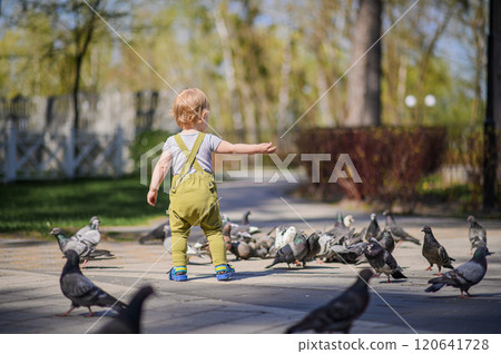 Toddler Walking Among Pigeons in a Sunny Park. Toddler Walking Among Pigeons in a Sunny Park. 120641728