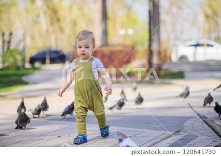 Toddler Walking Among Pigeons in a Sunny Park. Toddler Walking Among Pigeons in a Sunny Park. 120641730