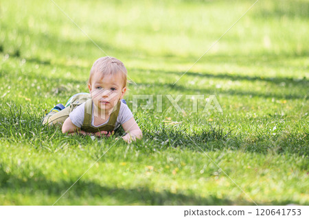 Toddler Lying on Grass in a Sunny Park Toddler Lying on Grass in a Sunny Park 120641753