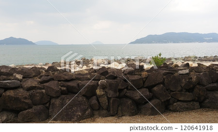 Raw Pine Barrens - Mongol Invasion Defense Fort 120641918