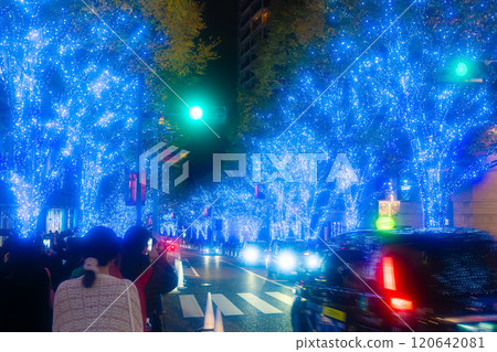 東京六本木櫸樹坂的燈飾 東京六本木櫸樹坂的燈飾 120642081