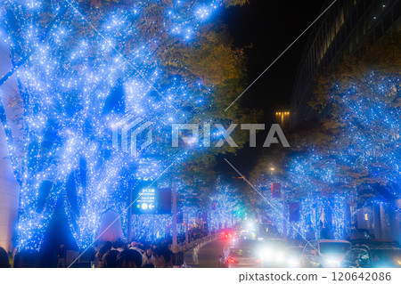 東京六本木櫸樹坂的燈飾 東京六本木櫸樹坂的燈飾 120642086