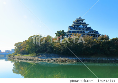 【岡山縣】岡山城和黃葉旭川（令和大整修後） 120642154