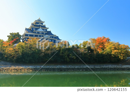 【岡山縣】岡山城和黃葉旭川（令和大整修後） 120642155