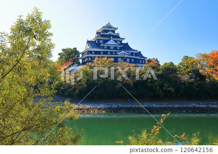 【岡山縣】岡山城和黃葉旭川（令和大整修後） 120642156