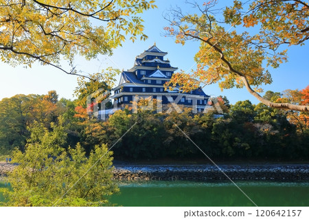 [Okayama Prefecture] Okayama Castle and Asahikawa River in yellow leaves (after major renovation in the Reiwa era) 120642157