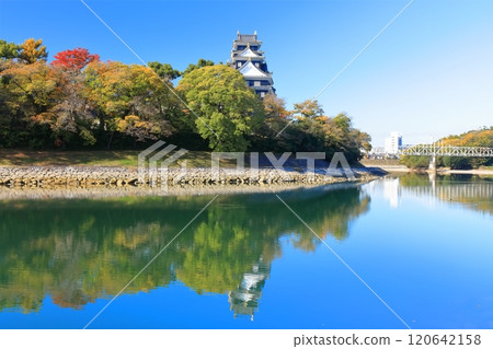【岡山縣】岡山城和黃葉旭川（令和大整修後） 120642158