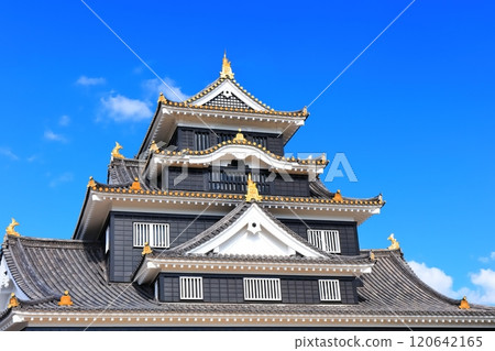 [Okayama Prefecture] Okayama Castle's castle tower in autumn colors (after major renovation in the Reiwa era) 120642165