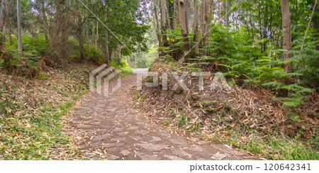 Miradores Coastal Path, Spain Miradores Coastal Path, Spain 120642341