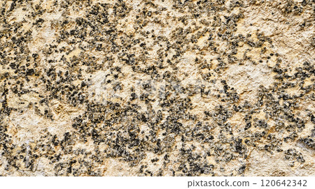 Wall Surface 120642342