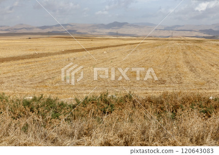 Expansive dry landscape in Iran showcases vast agricultural fields under a cloudy sky Expansive dry landscape in Iran showcases vast agricultural fields under a cloudy sky 120643083