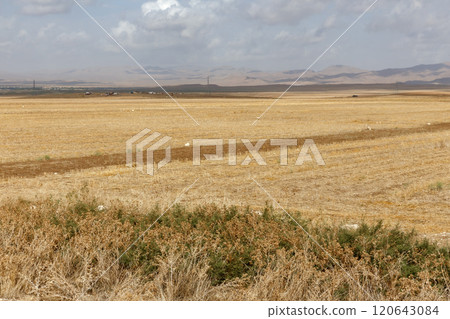 Expansive dry landscape in Iran showcases vast agricultural fields under a cloudy sky Expansive dry landscape in Iran showcases vast agricultural fields under a cloudy sky 120643084