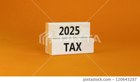Planning 2025 tax new year symbol. Concept words 2025 Tax on beautiful wooden blocks. Beautiful orange background. Business 2025 tax new year concept. Copy space. Planning 2025 tax new year symbol. Concept words 2025 Tax on beautiful wooden blocks. Beautiful orange background. Business 2025 tax new year concept. Copy space. 120643287