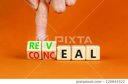 Reveal or conceal symbol. Businessman turns wooden cubes and changes word Conceal to Reveal. Beautiful orange table orange background, copy space. Business reveal or conceal concept. 120643322