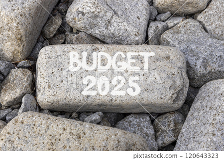Planning budget 2025 new year symbol. Concept words Budget 2025 on beautiful grey stone. Beautiful grey stones background. Business budget 2025 new year concept. Copy space. 120643323
