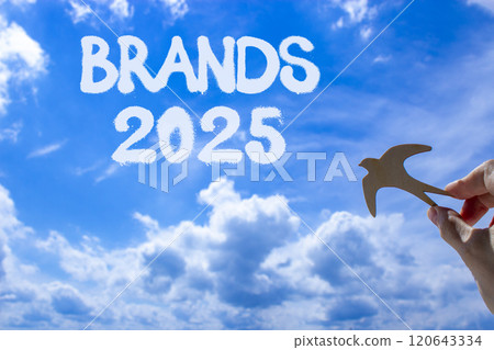 Planning brands 2025 new year symbol. Concept words Brands 2025 on beautiful blue sky. Beautiful blue sky clouds background. Hand with wooden bird. Business brands 2025 new year concept. Copy space. 120643334