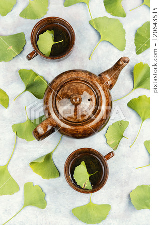 Ginkgo tea with freshen leaf. Ginkgo tea with freshen leaf. 120643515