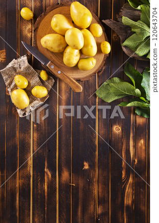 raw young potatoes on a table raw young potatoes on a table 120643704