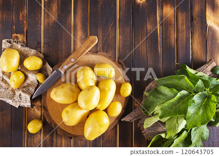 raw young potatoes on a table 120643705