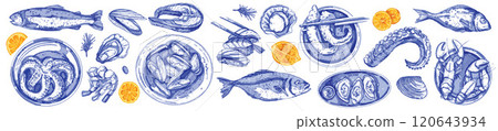 Seafood watercolor illustration, vector hand drawn fish mollusk eatery kit, blue ocean fresh oyster Seafood watercolor illustration, vector hand drawn fish mollusk eatery kit, blue ocean fresh oyster 120643934