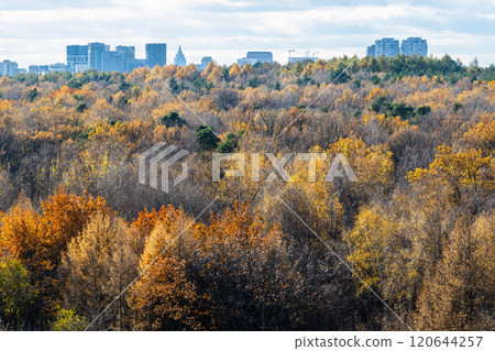 aerial view of colorful park with lush foliage aerial view of colorful park with lush foliage 120644257