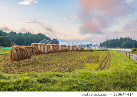 黎明時分的木崎湖【大町市】 黎明時分的木崎湖【大町市】 120644414