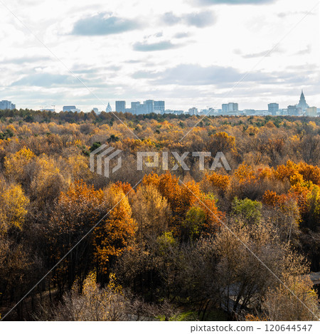 gray cloudy sky over colorful city park in autumn gray cloudy sky over colorful city park in autumn 120644547