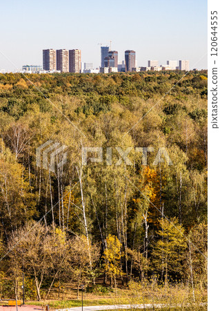 colorful city park and skyscrapers on horizon 120644555