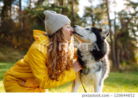 Beautiful young woman in a hat and yellow coat walks with her husky on the lawn in the park. 120644652