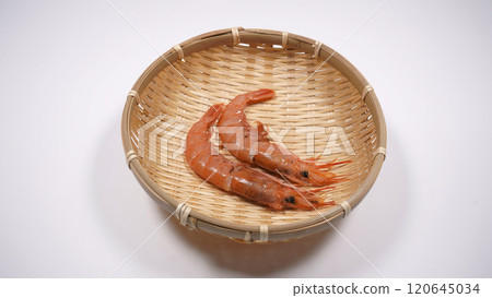 Shrimp Shrimp 120645034