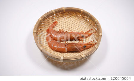 Shrimp Shrimp 120645064