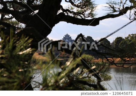 Okayama Castle seen across Sawanoike Pond [Okayama, Korakuen] 120645071